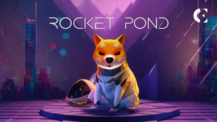Shiba Inu تثير اخبار حول الكشف القادم عن Rocket Pond