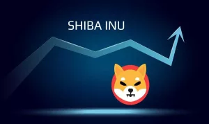 بعد تلميحات بقرب اطلاق Shibarium سعر Shiba Inu الى اين؟
